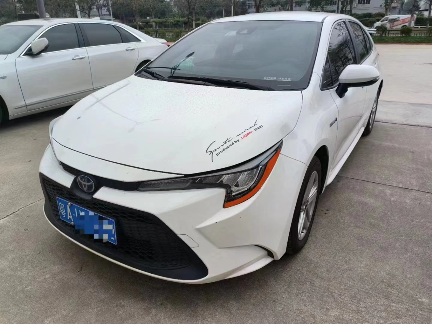 微信图片_20240318113605