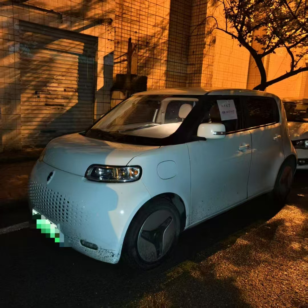 20款欧拉白猫360km豪华型