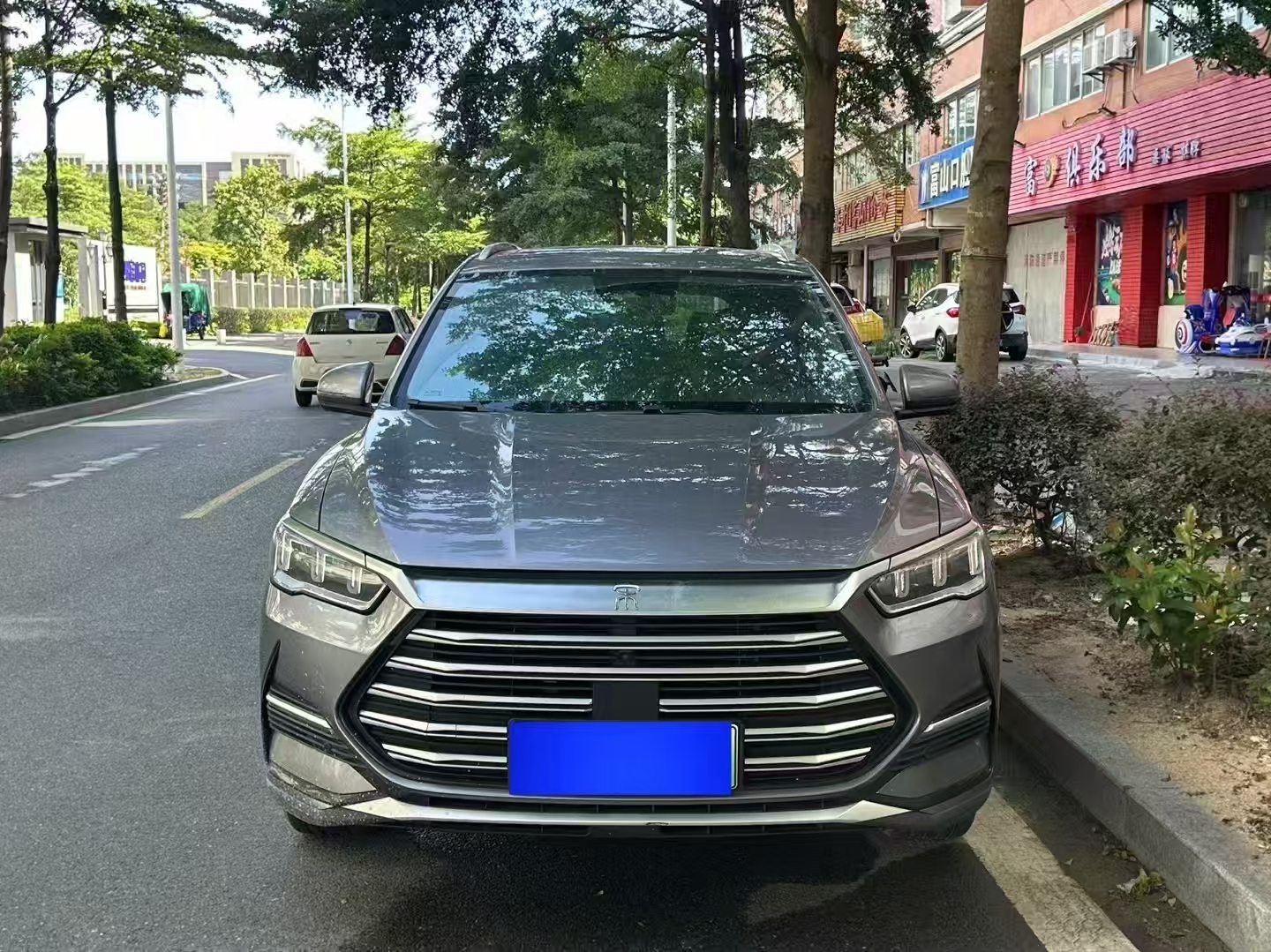 2022款宋Pro新能源DM-i110km旗舰型Pro