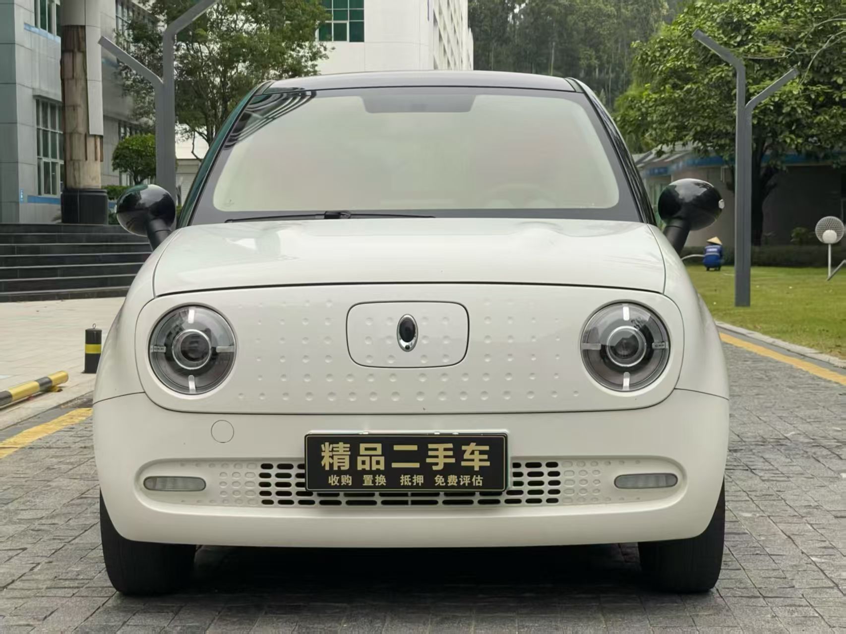 欧拉欧拉黑猫2021款欧拉黑猫351km标准型