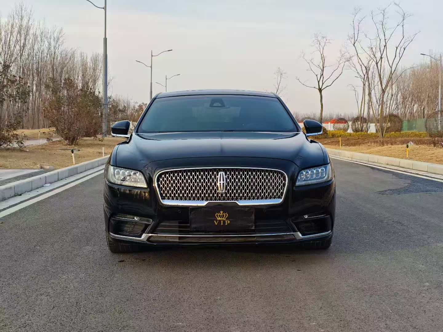 林肯林肯大陆(进口)2019款林肯大陆(进口)2.0T两驱尊享版国V