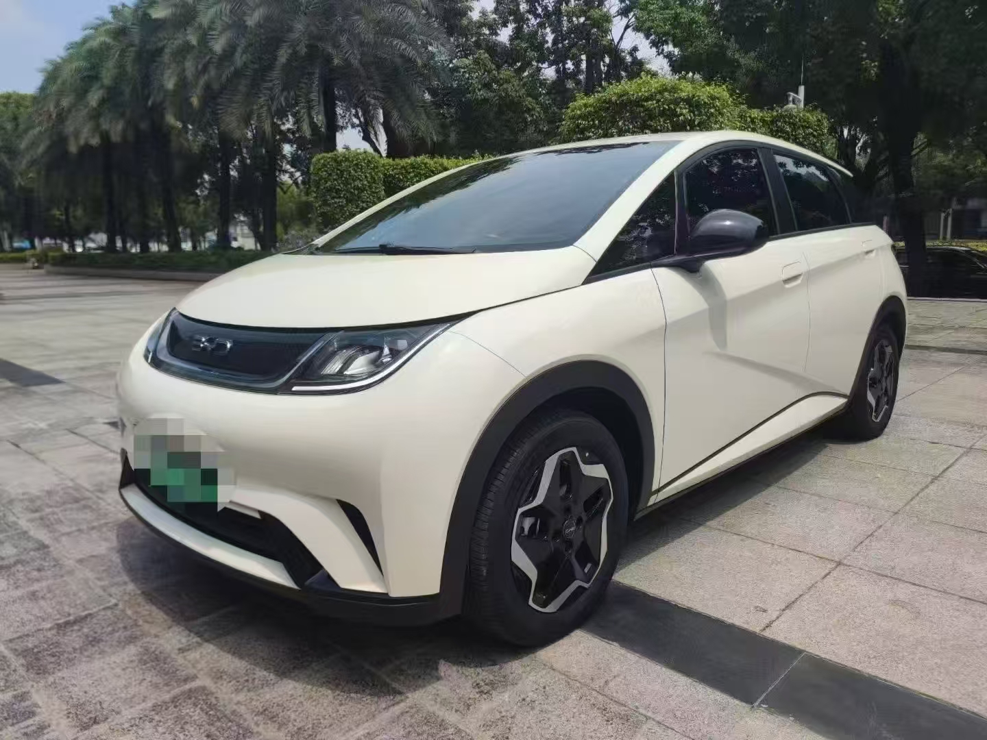 BYD海豚2025款 420km 自由版