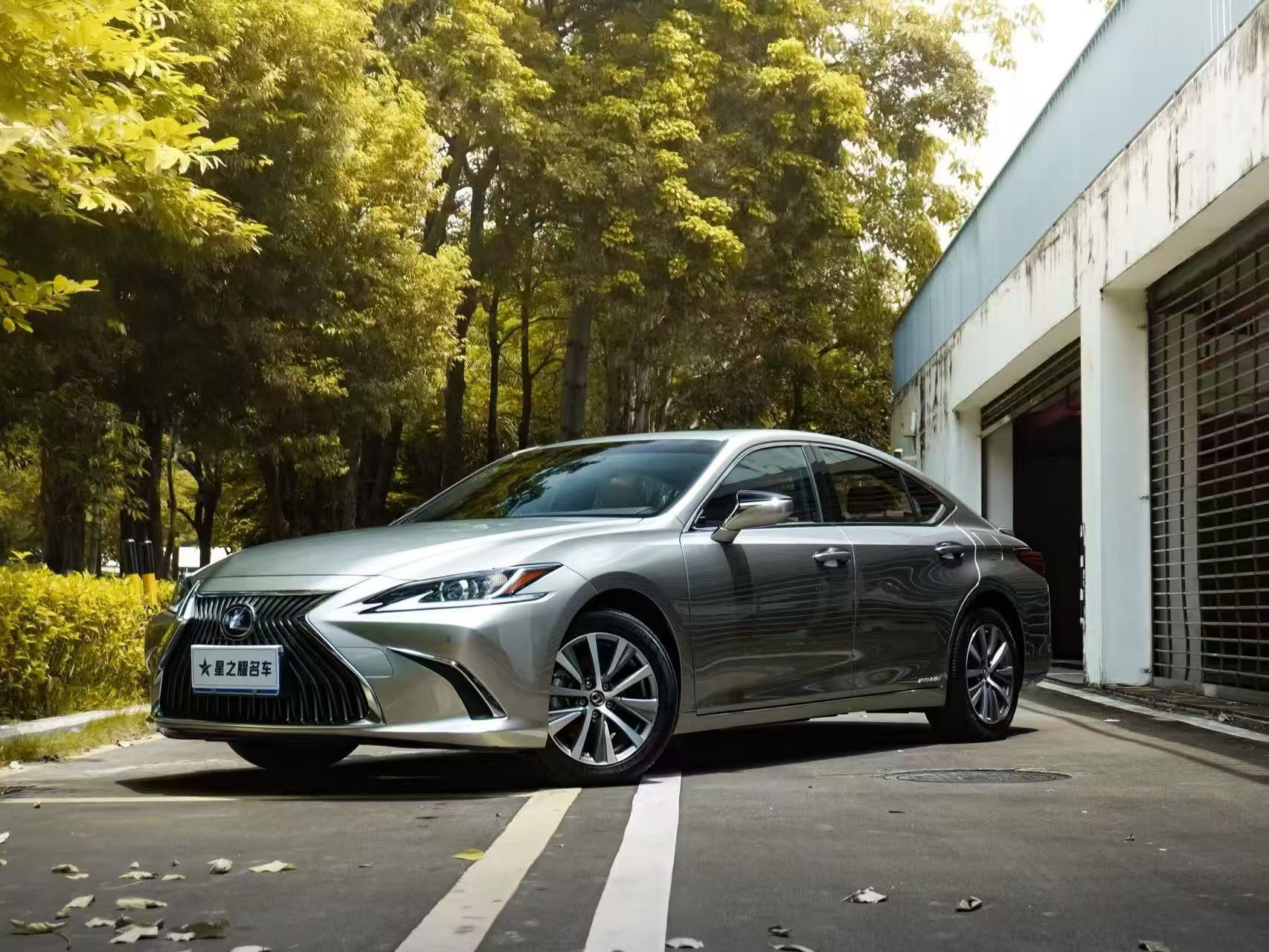 2021款雷克萨斯ES300h卓越版