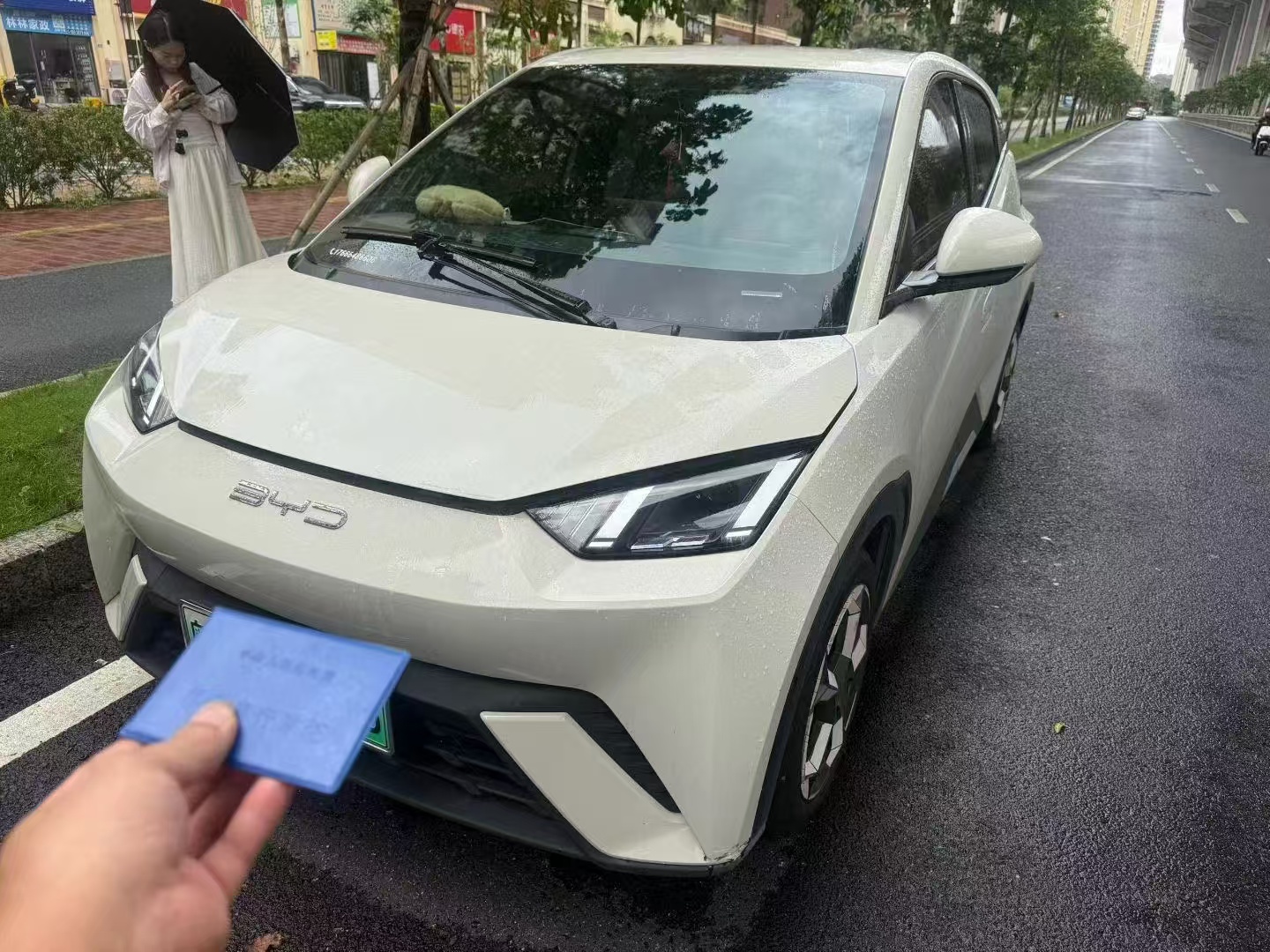 比亚迪海鸥2024款海鸥荣耀版305km自由版